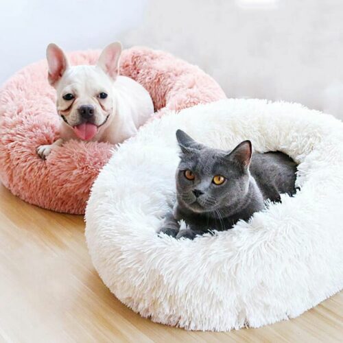coussin apaisant chien chat