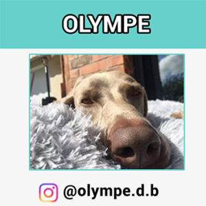 olympe-coussin-apaisant_