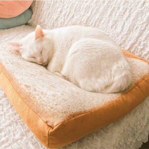 Coussin toast pour chat