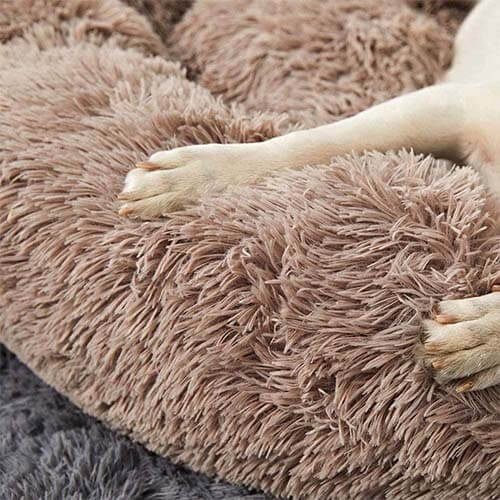 lit apaisant pour chien dehoussable